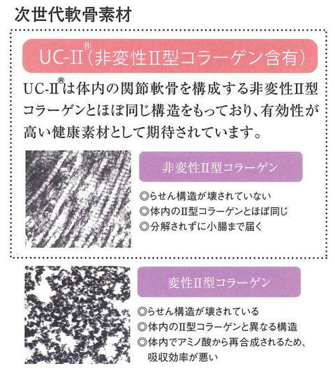 UC-II&Nアセチルグルコサミン(UC-II N-Acetyl-Glucosamine)約30g
