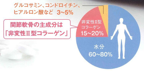 UC-II&Nアセチルグルコサミン(UC-II N-Acetyl-Glucosamine)約30g