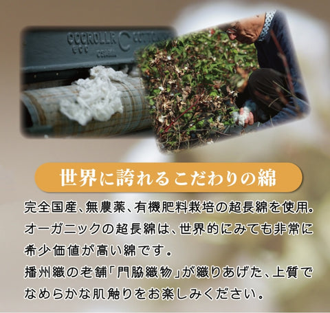 かこっとんストール