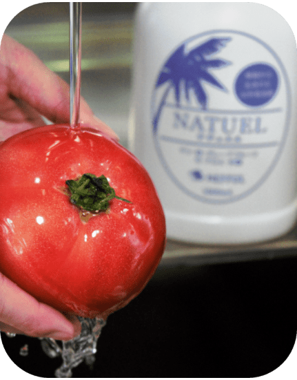 台所用洗剤 NATUEL(ナチュエル)1,000mL