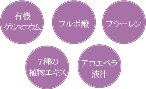 紫輝HCシャンプー 400mL